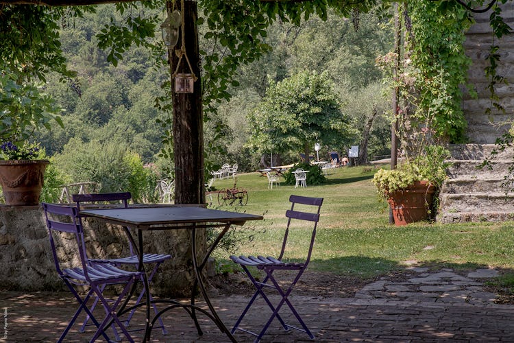 Agriturismo Ca' del Bosco -Quiet corners in Tuscany